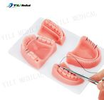 Pad prático de sutura de ferida de toque oral realista para educação dentária